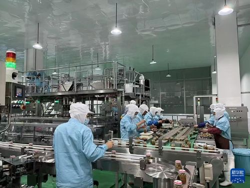 日本の食品メーカー 四川省でザーサィ生產(chǎn) 伝統(tǒng)制法守る